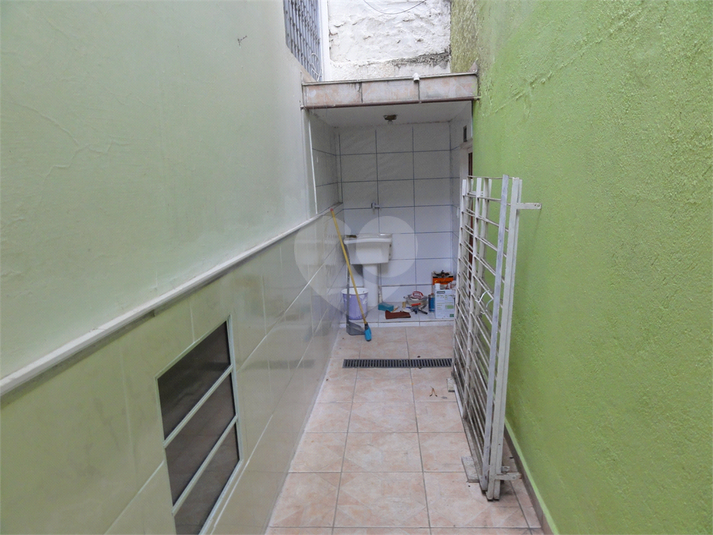 Foto REO621773