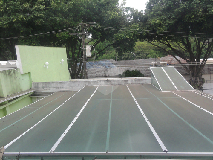 Foto REO621773