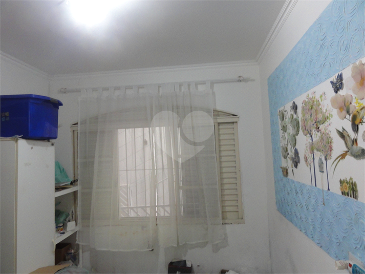 Foto REO621773
