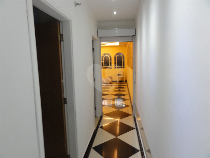 Foto REO621773