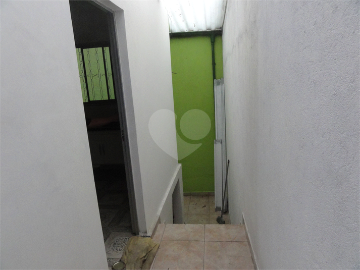 Foto REO621773