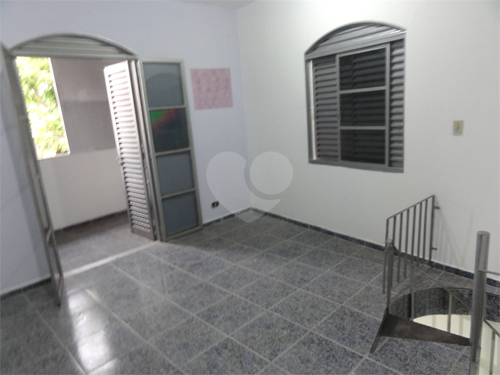 Foto REO621773