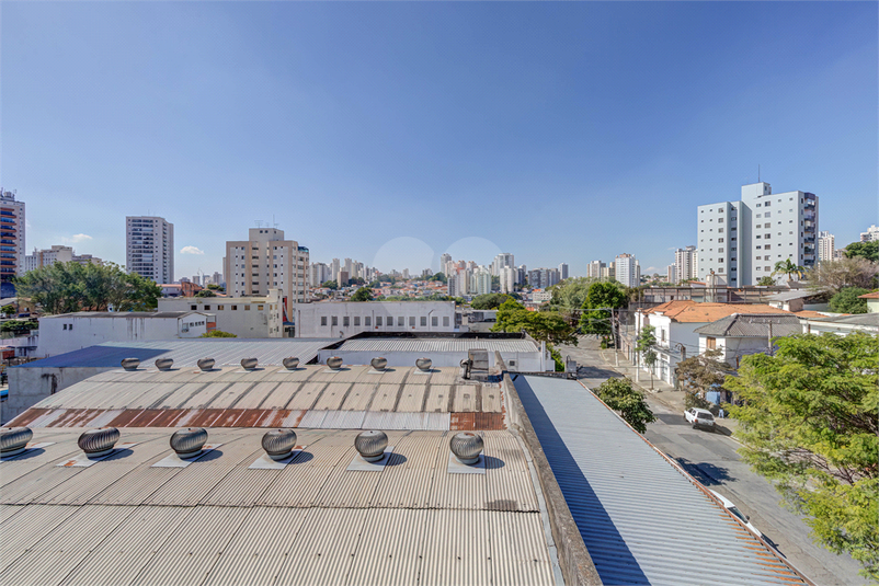 Foto REO622088