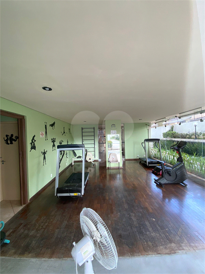 Foto REO622213