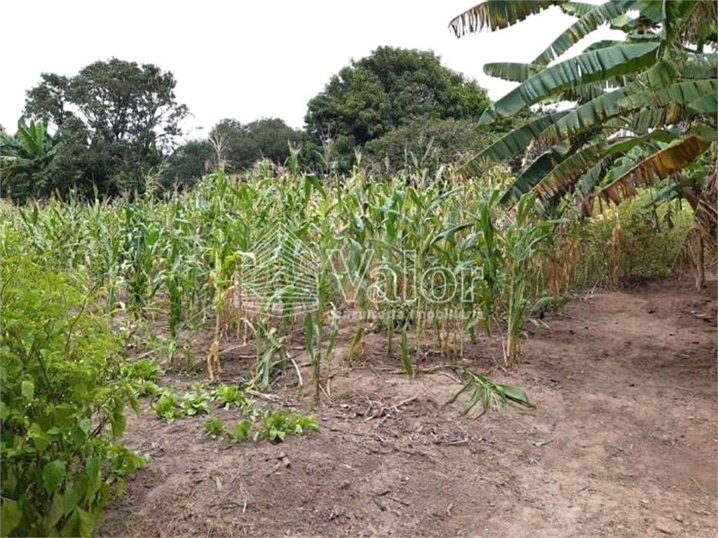 Venda Chácara Porto Ferreira Serra Dágua REO622327 17