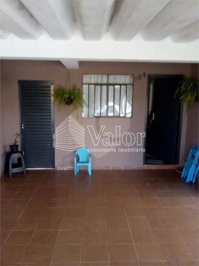 Foto REO622337