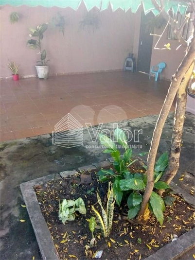 Foto REO622337