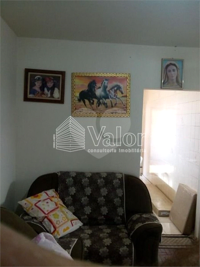 Foto REO622337
