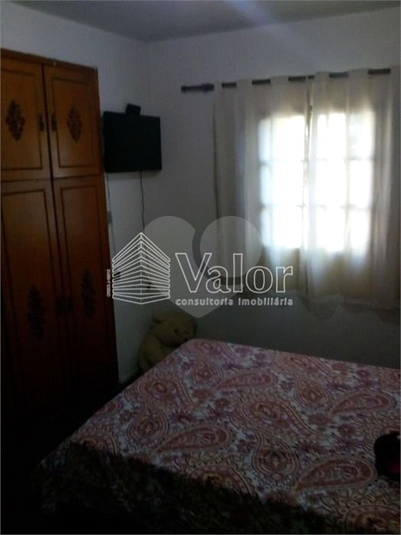 Foto REO622337