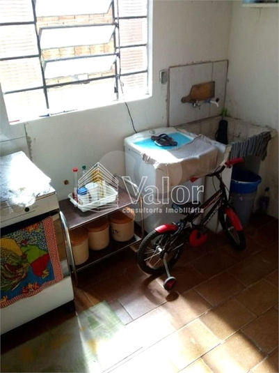 Foto REO622337
