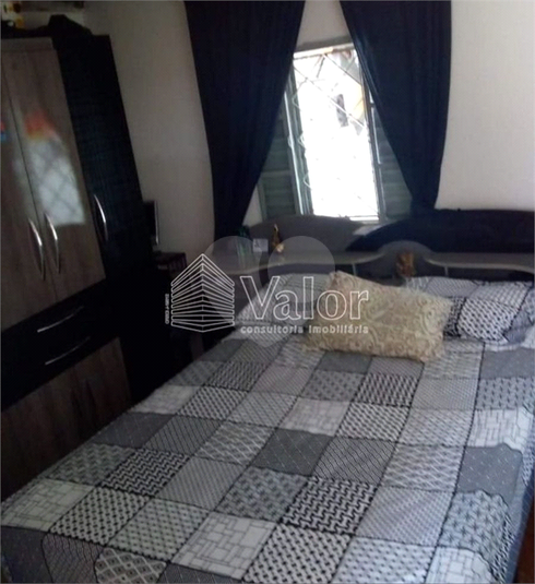 Foto REO622337