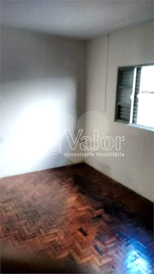 Foto REO622337