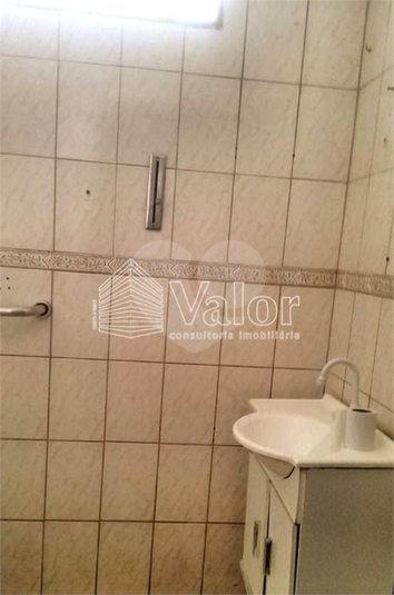 Foto REO622337