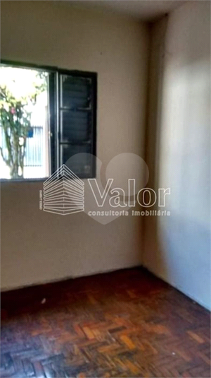 Foto REO622337