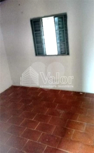 Foto REO622337