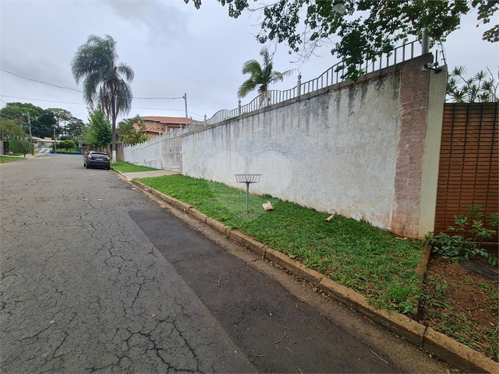 Foto REO622383