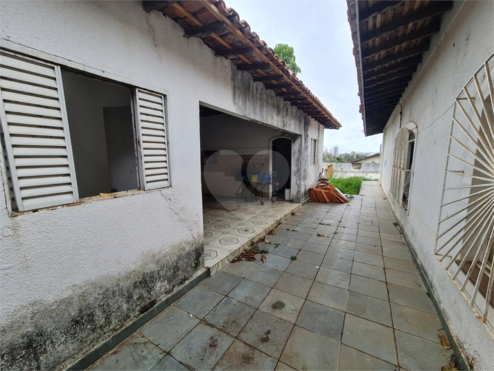 Foto REO622383