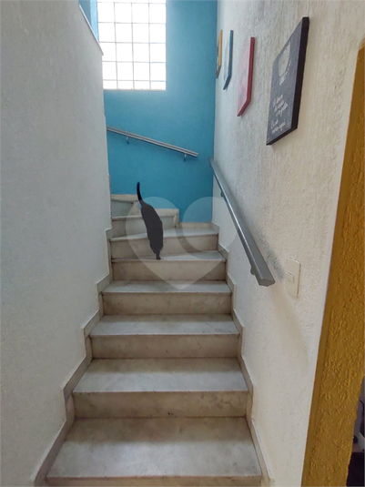 Foto REO622585