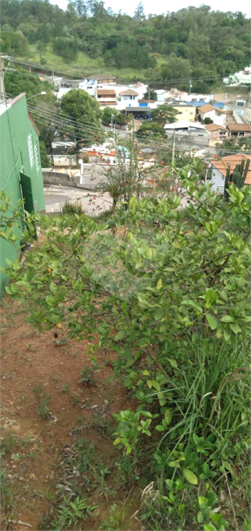 Venda Terreno Jundiaí Jardim Do Lírio REO622643 3