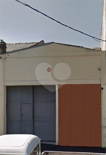 Foto REO622694
