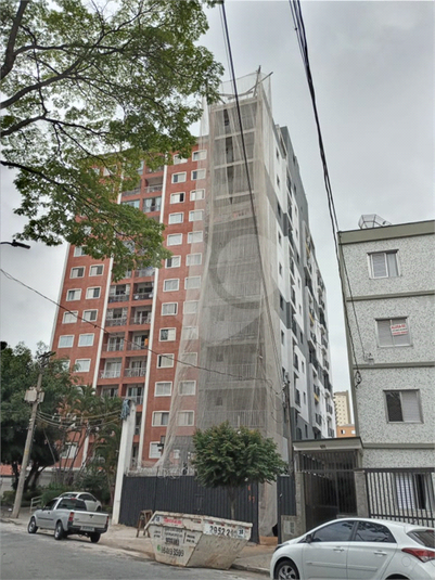 Foto REO622850