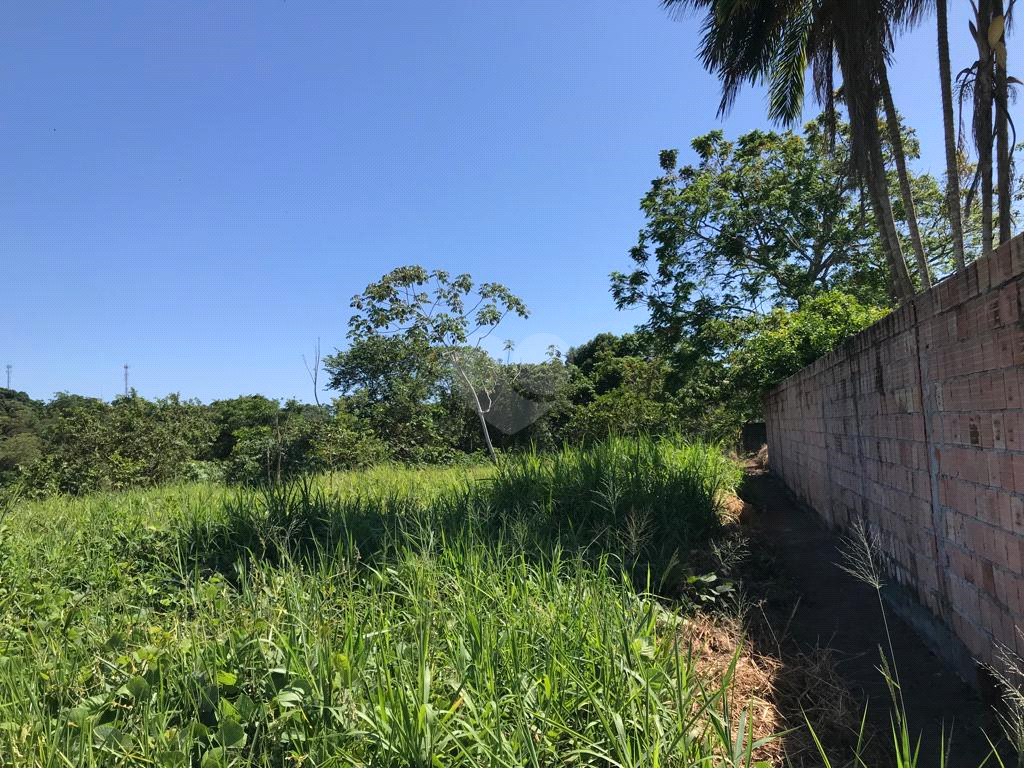 Venda Área de Terra Manaus Santa Etelvina REO622916 2