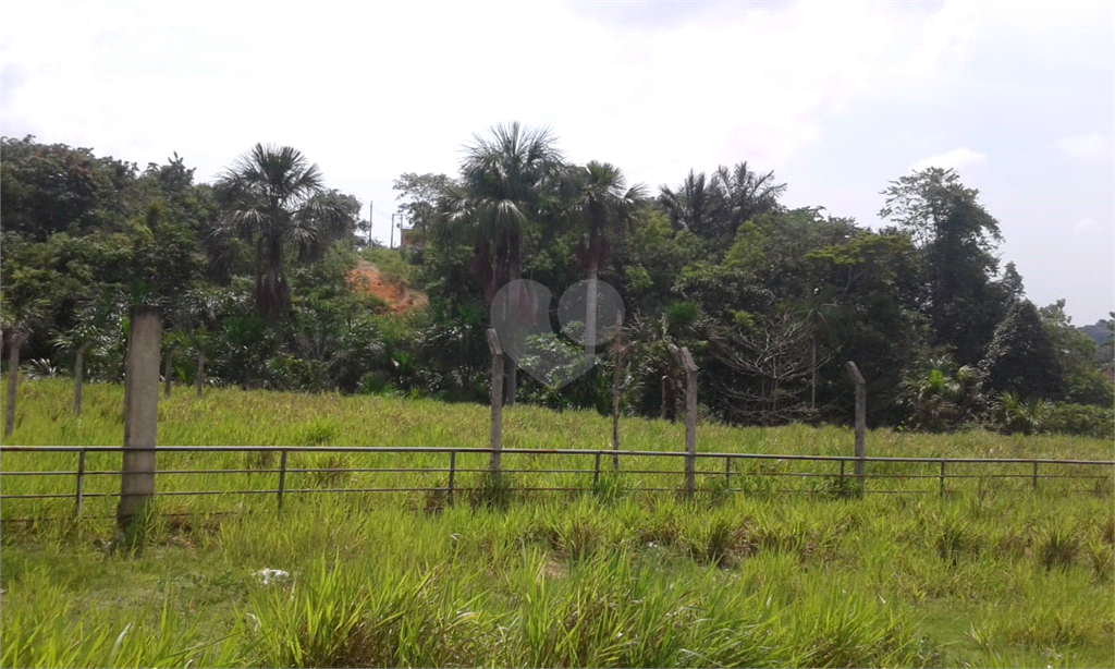 Venda Área de Terra Manaus Santa Etelvina REO622916 9