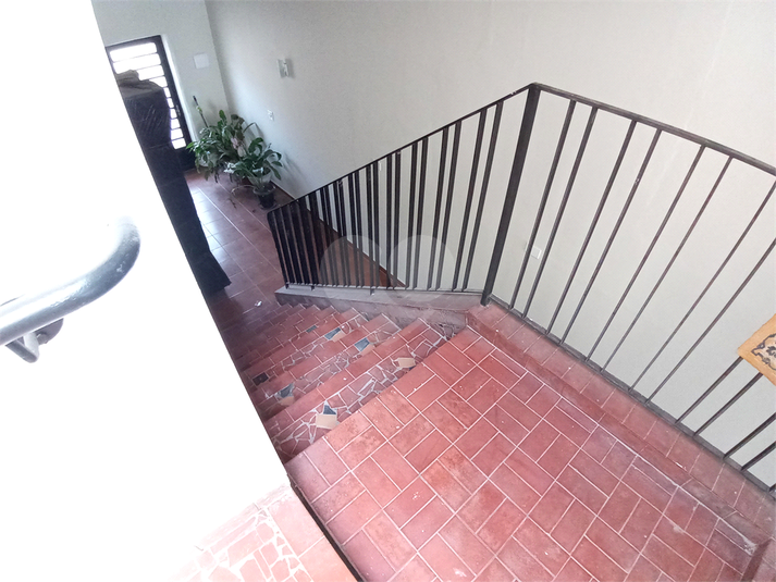Foto REO622930