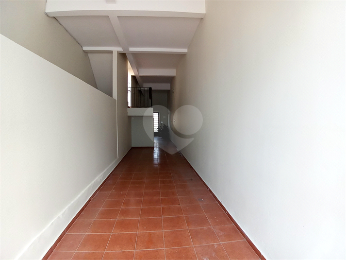 Foto REO622930