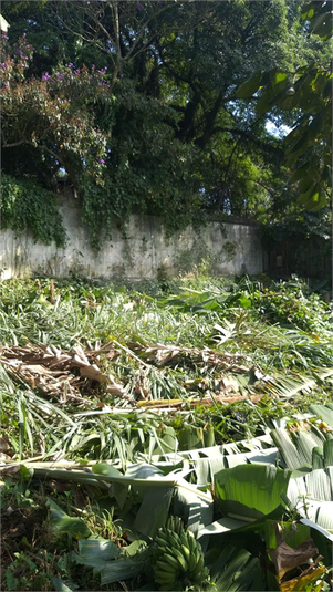 Venda Terreno Cotia Parque São George REO623208 2