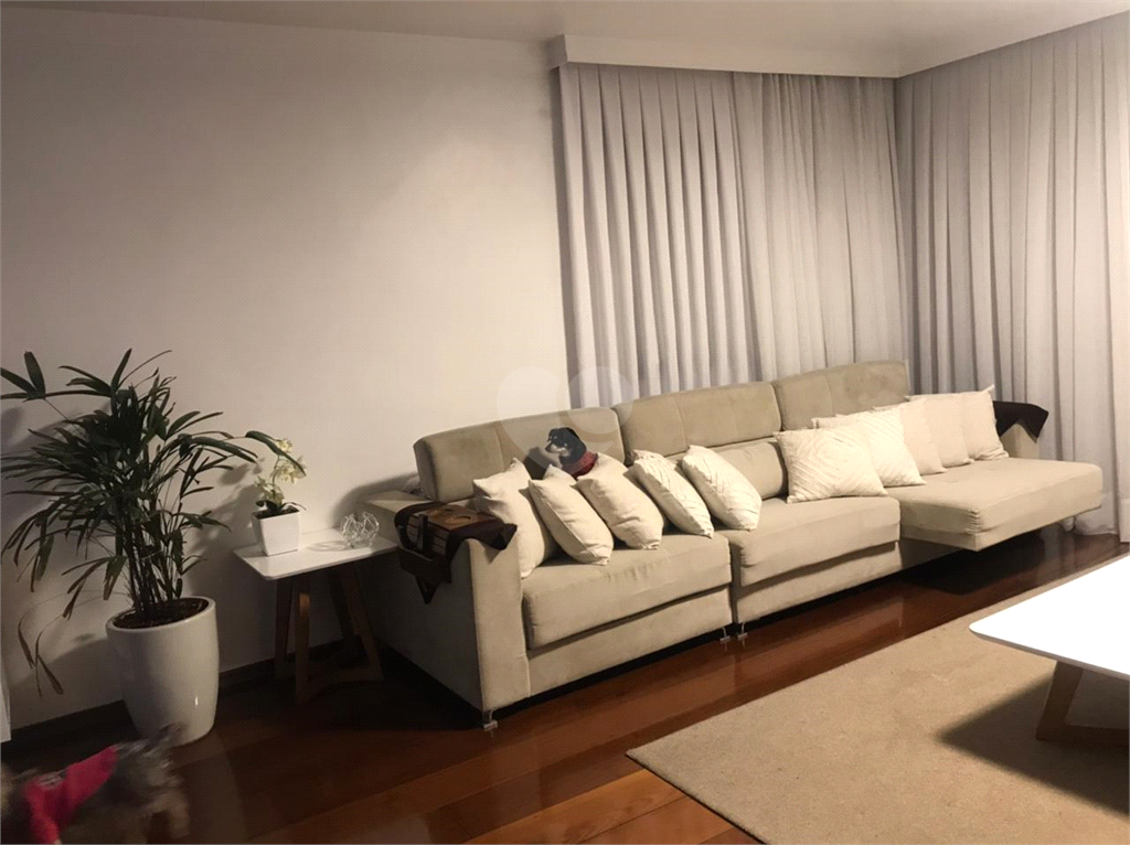 Venda Apartamento São Paulo Bela Aliança REO623479 1