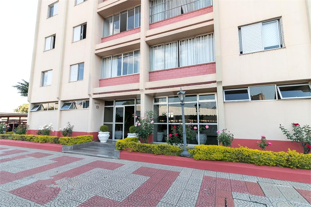 Venda Apartamento Guarulhos Vila Vicentina REO623505 1