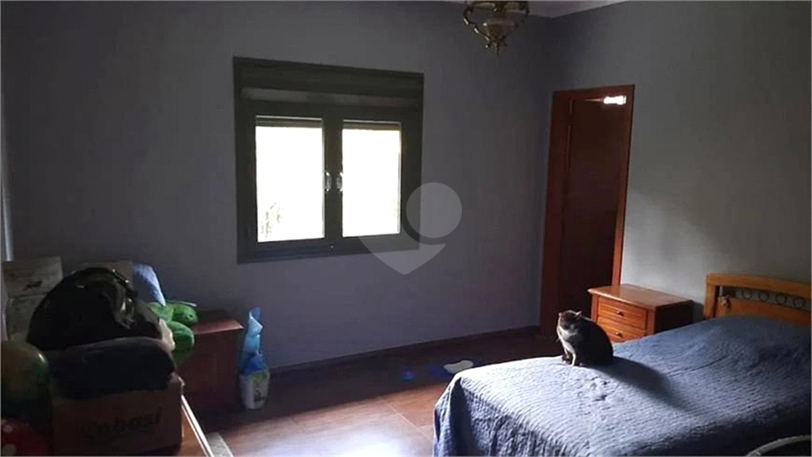 Foto REO623542