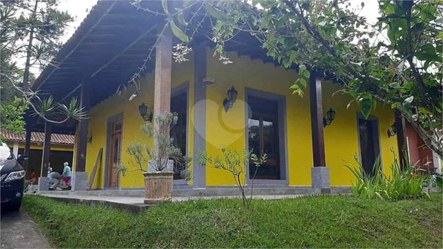 Foto REO623542