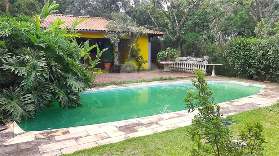 Foto REO623542