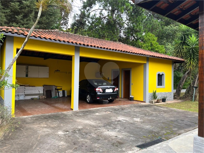 Foto REO623542