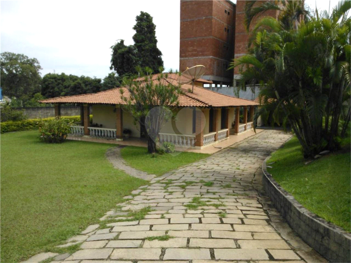 Foto REO623634