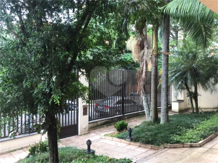Foto REO623862