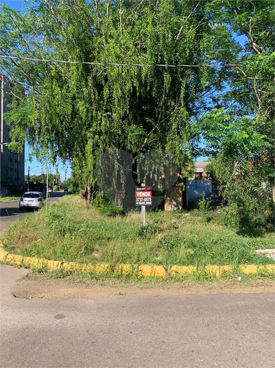 Venda Terreno Gravataí Passo Das Pedras REO624327 8