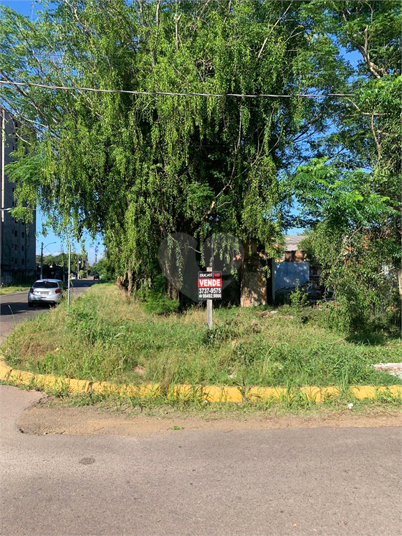 Venda Terreno Gravataí Passo Das Pedras REO624327 3