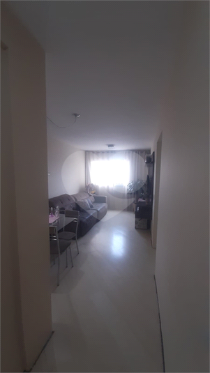 Foto REO624422