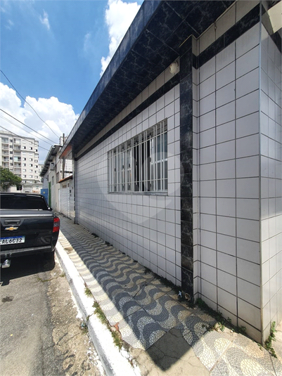 Foto REO624469