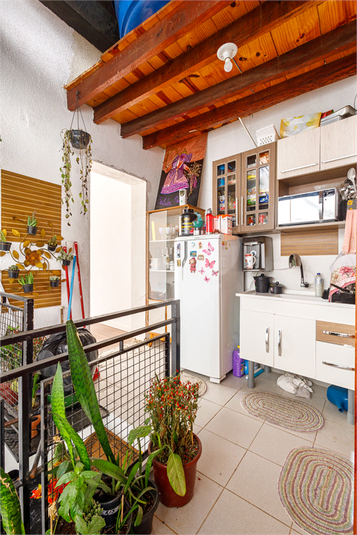 Foto REO624551