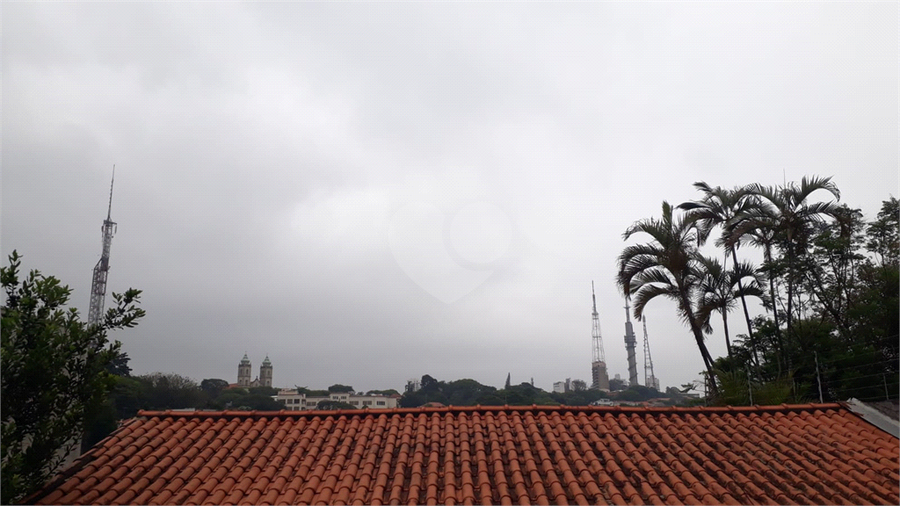 Foto REO624622