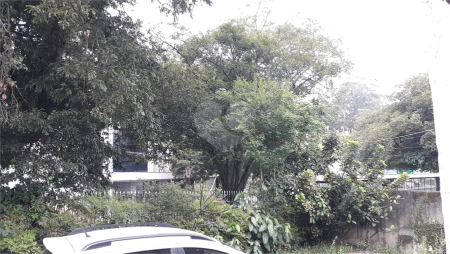 Foto REO624622