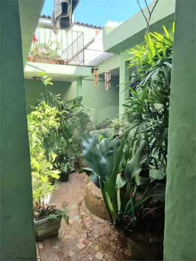 Venda Casa de vila São Paulo Jardim São Roque REO624706 36