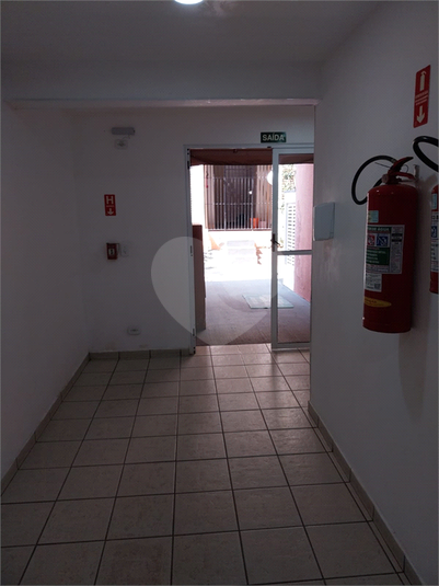 Foto REO624740