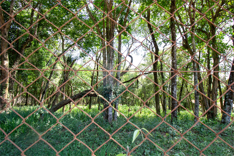 Venda Área de Terra São Roque Sorocamirim (canguera) REO624932 12