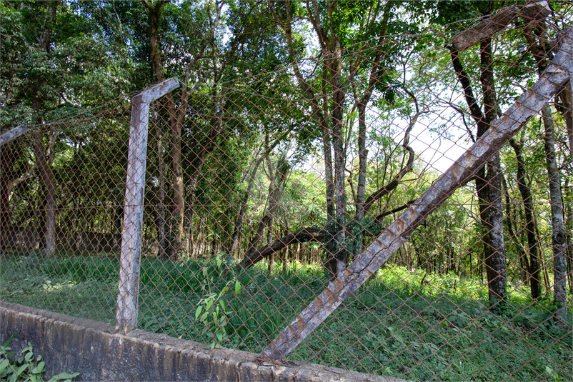 Foto REO624932