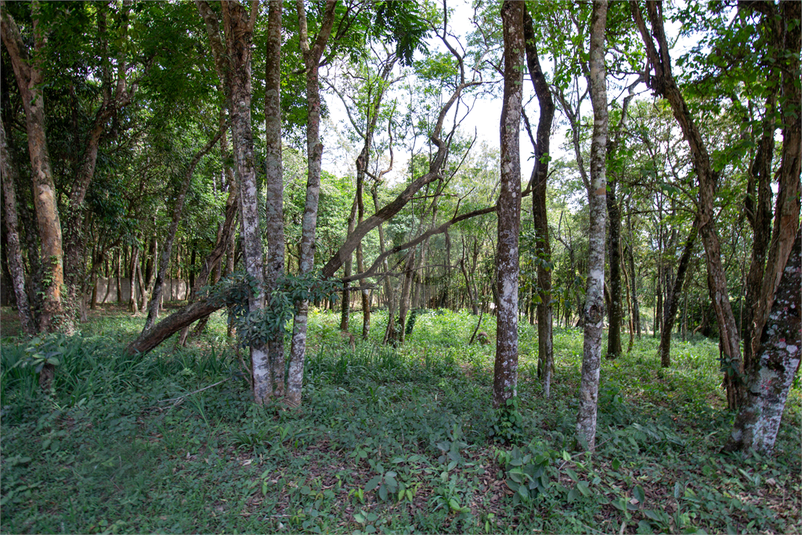 Venda Área de Terra São Roque Sorocamirim (canguera) REO624932 13